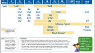 When and what kind of immunization my child need? Below are recommended immunization chart from the Center of Disease Control and Prevention (CDC).  